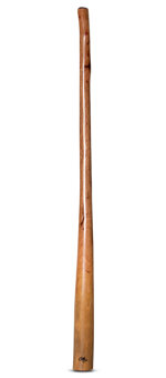 Tristan O'Meara Didgeridoo (TM257)